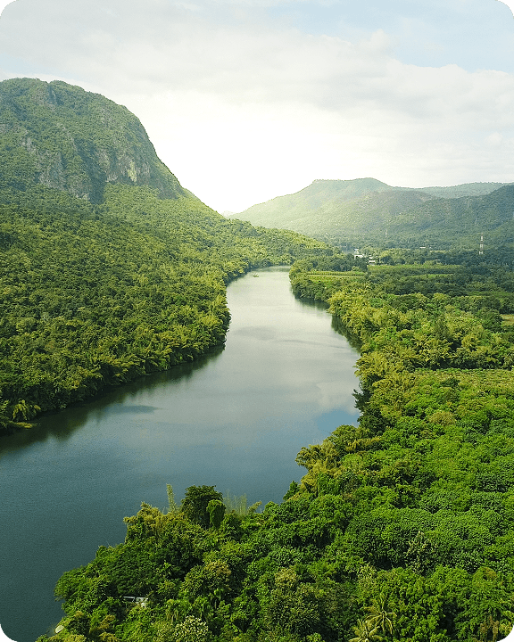 Impact Environnemental